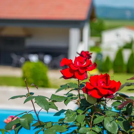Holiday Endless Summer Mostar